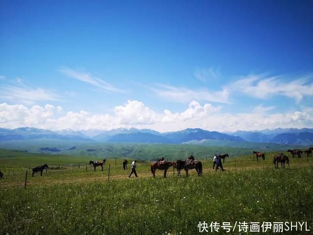 中薪|伊犁草原篇:特克斯喀拉峻