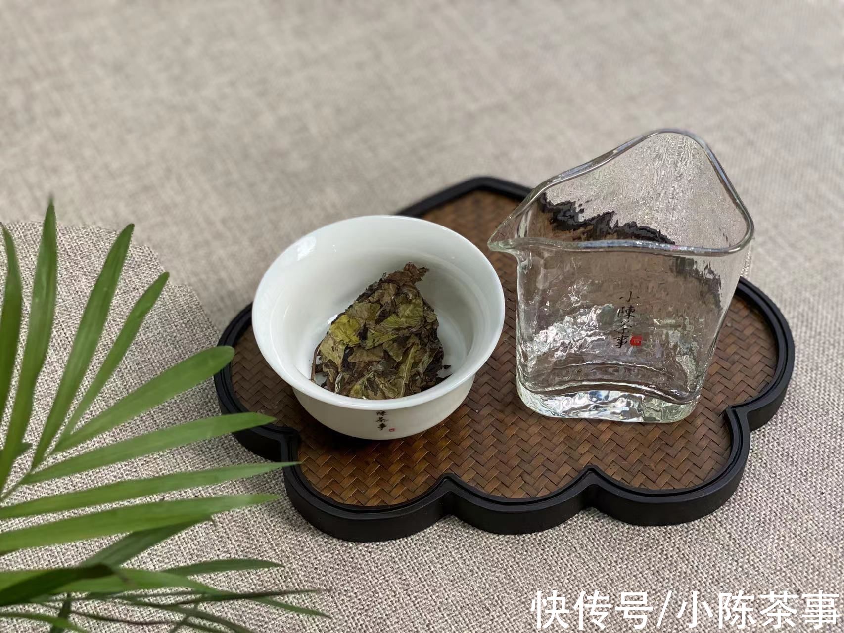 焖烧壶|白茶圈里10个卖“老白茶”的掌柜，几乎有5家在卖焖烧壶，怎么了