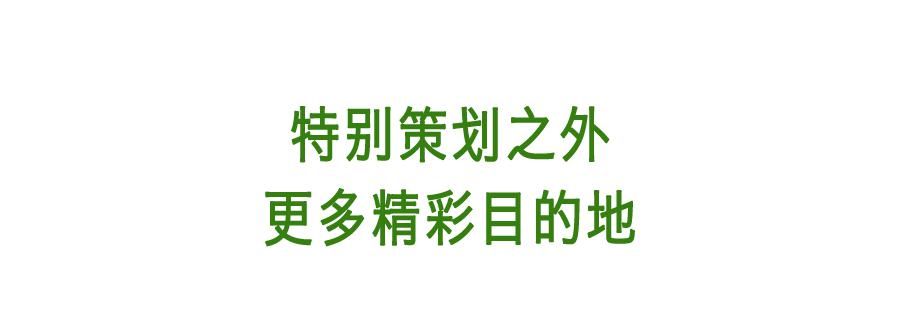 雪板|12月，在雪板上对2020说再见