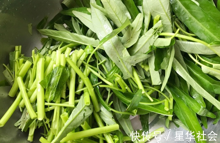 食欲|又到了吃空心菜的最佳季节，炒出来脆嫩爽口不发黑，很有食欲