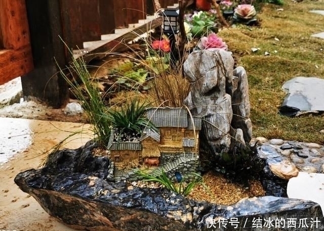 用石头盘子来养花,变成小盆景,价值能翻好几倍