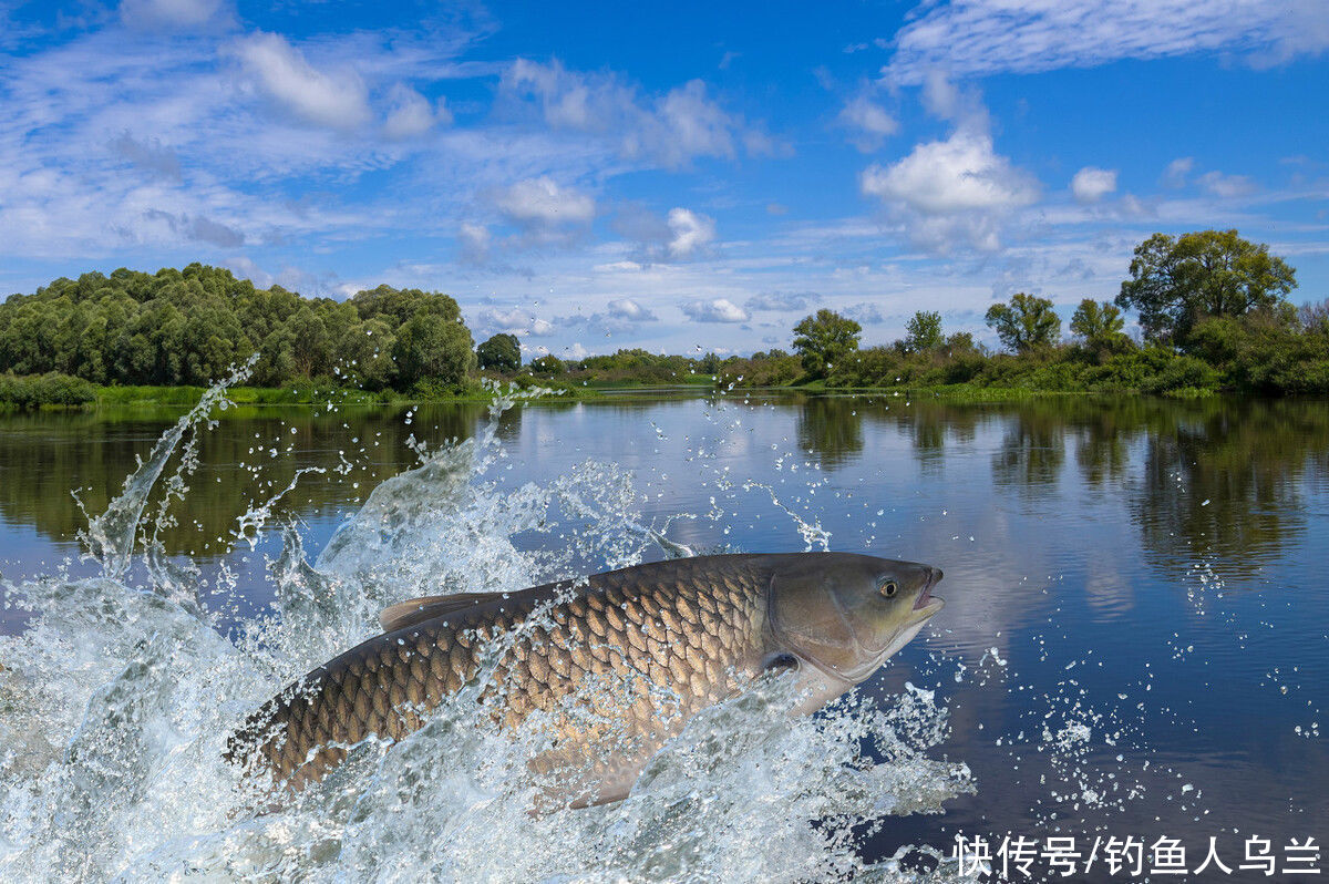 古村|死去的河北明珠——易水湖，再也没有鱼和虾，只剩下了游客