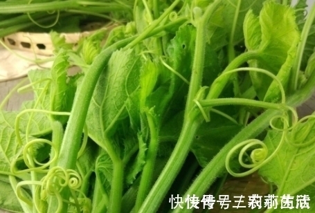 南瓜|明朝时引进的“它”，现在低价无人问津，殊不知全身都是上好野菜