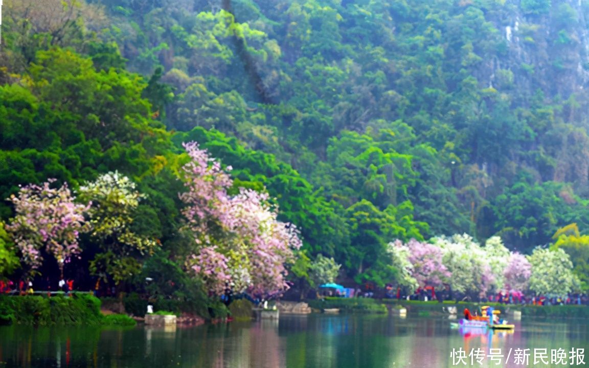 岭南山水 诗意肇庆|旅游 | 中年