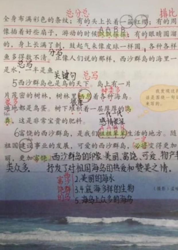 小学生“学霸笔记”火了，网课笔记堪比高中生，网友：低估小学生