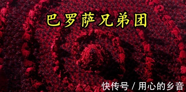 泽塔奥特曼|泽塔奥特曼全剧只有四头原创怪兽,其中一头被反复利用