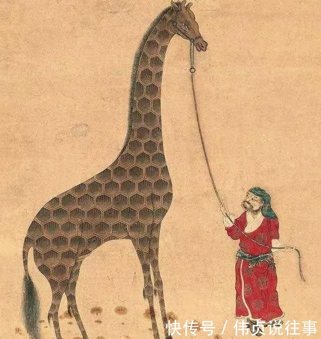 麒麟|麒麟,究竟是什么动物?