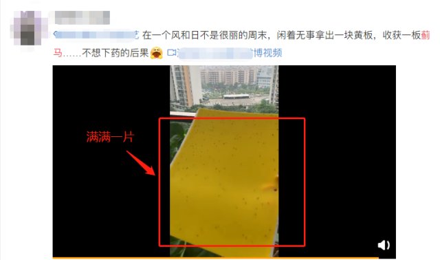 紧急提醒！近期尽量别穿这种颜色的衣服出门！