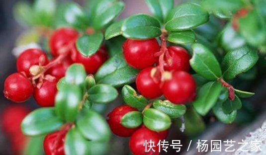 排毒|女性想要皮肤好常吃3种食物，排毒清肠，延缓衰老，早吃早受益