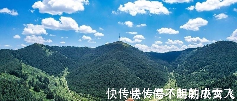 甘南的这个草原像极了宫崎骏漫画里的夏日,四季都超美,你想去吗