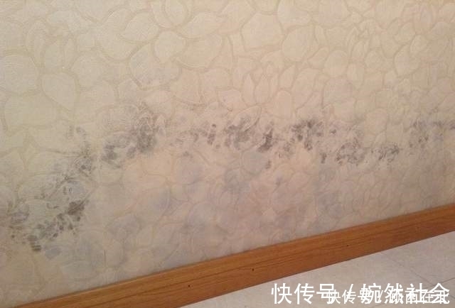 错误|当初装修脑子抽风!一连犯下16个不可弥补的错误,个个使我心塞到死