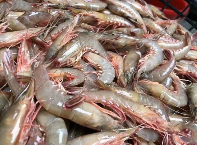 含“寄生虫”最多的3种海鲜，没营养还贵，老板自己从不吃