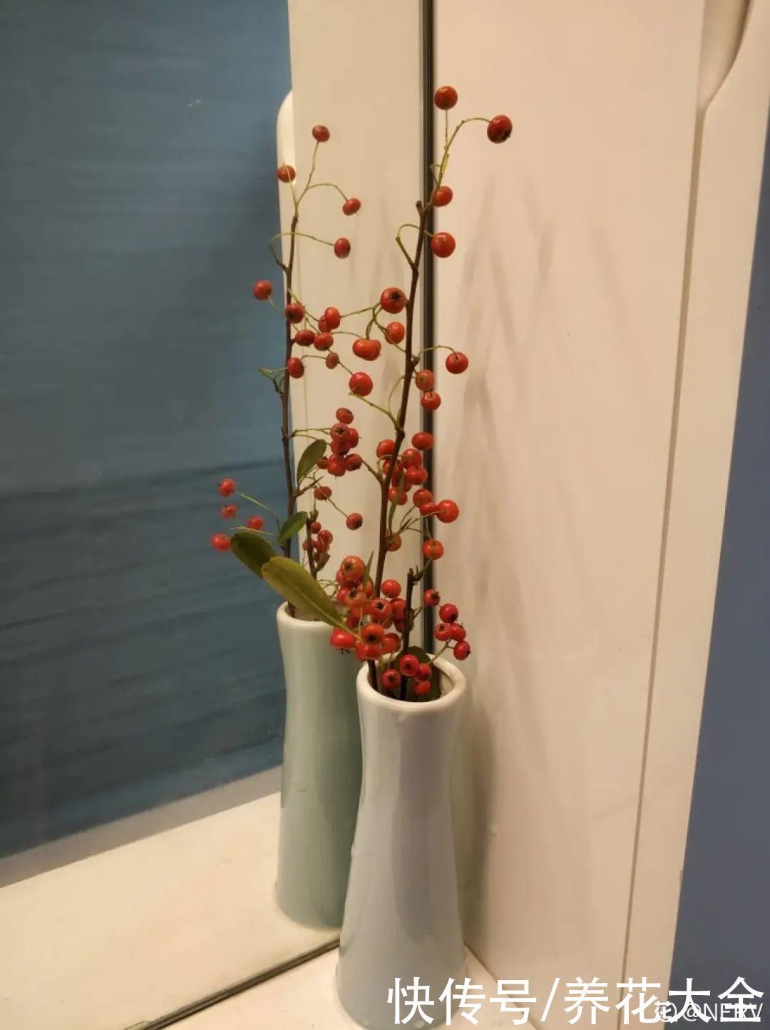 农村当柴烧的花,原来可以当盆景,给一千块也不卖