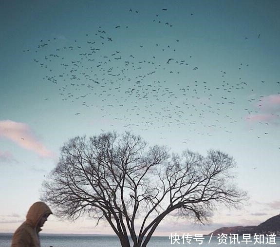 收藏|为人处世的智慧语录,句句受用,值得收藏一生!