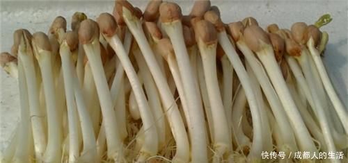 女性不妨多吃3种食物,营养丰富、延缓衰老,早吃早健康!