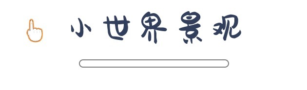 dmg|她曾是体操冠军，事业成功后竟顺走几十亿，这是怎么回事？