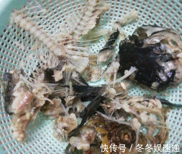 “一等养花肥”从不需花钱买，亲自动手制作，效果好还不烧苗