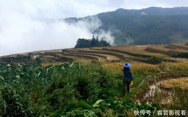 毁肝第一名不是酒精？是你每天都在做的这些事