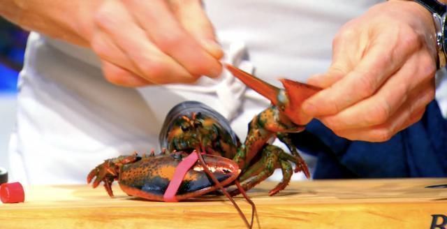 米其林|米其林大厨戈登拉姆齐，完美无痛拆龙虾肉，只需7步骤轻松上手