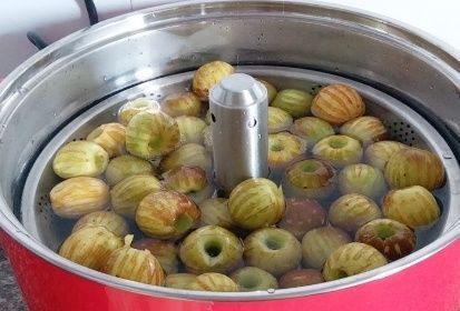 它是“维C之王”,秋天碰到别手软,多买些囤着,吃一年也不坏