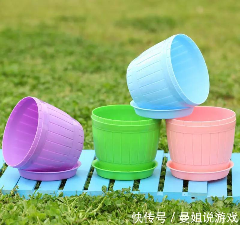 劣质花盆栽种花卉,再用心管理也白搭,几种花盆要慎选