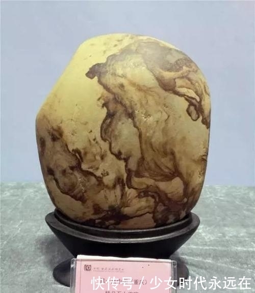 博览会|第十届中国万石博览会二十万成交的奇石,为什么不是获奖十大奇石