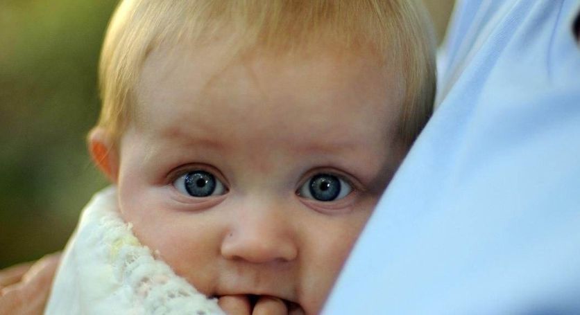 父母们|孩子是否聪明,手上这些特征会说明,家长测下你家孩子智商高吗