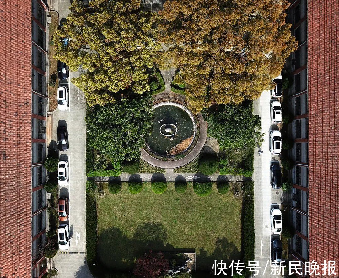 张桦|好好的孩子，怎么突然抑郁了？