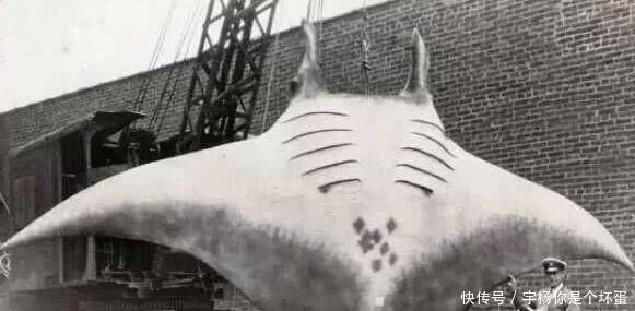 潜水服|一组罕见老照片,图2引无数男人回头,最后一张看了让人震撼!