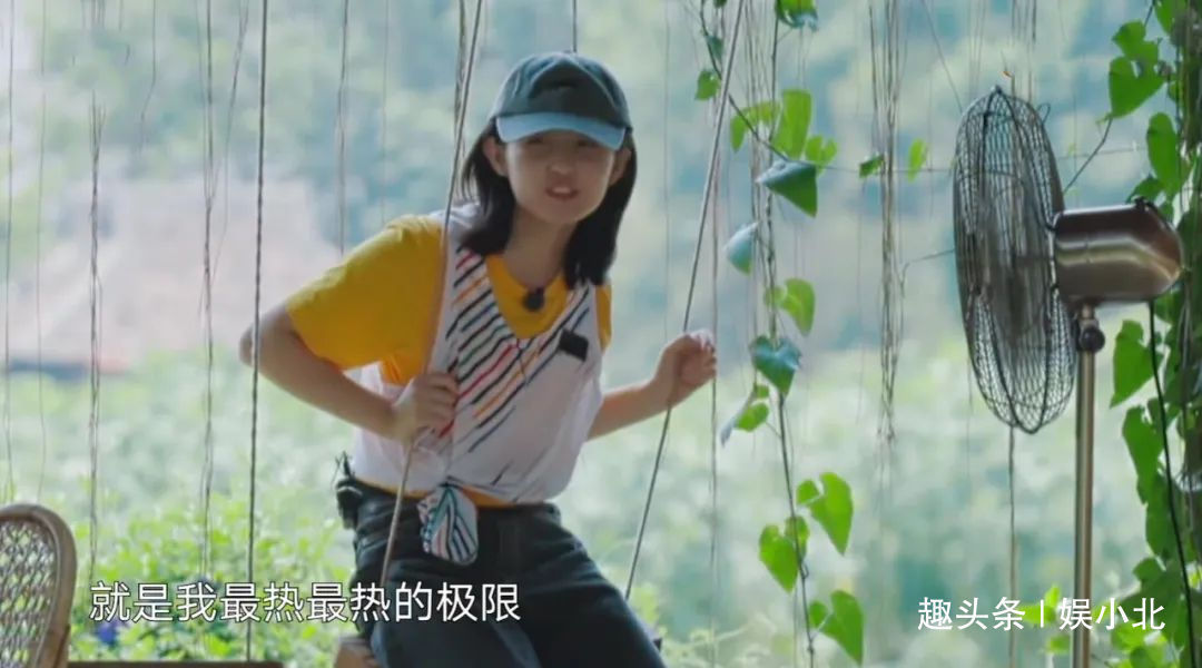 蘑菇|嘉宾重复请、广告太频繁、农活总干不完,被《向往4》劝退