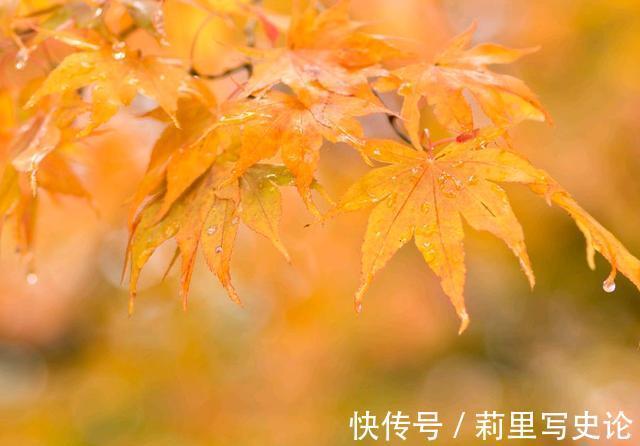 烟火$人生若沧桑，愿你诗意生活，生活若寻常，愿你欢喜度过