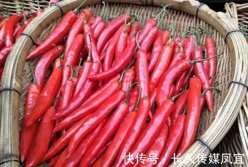 西红柿|黄瓜尽量不要与这三种食物搭配，西红柿在内，不妨来了解下