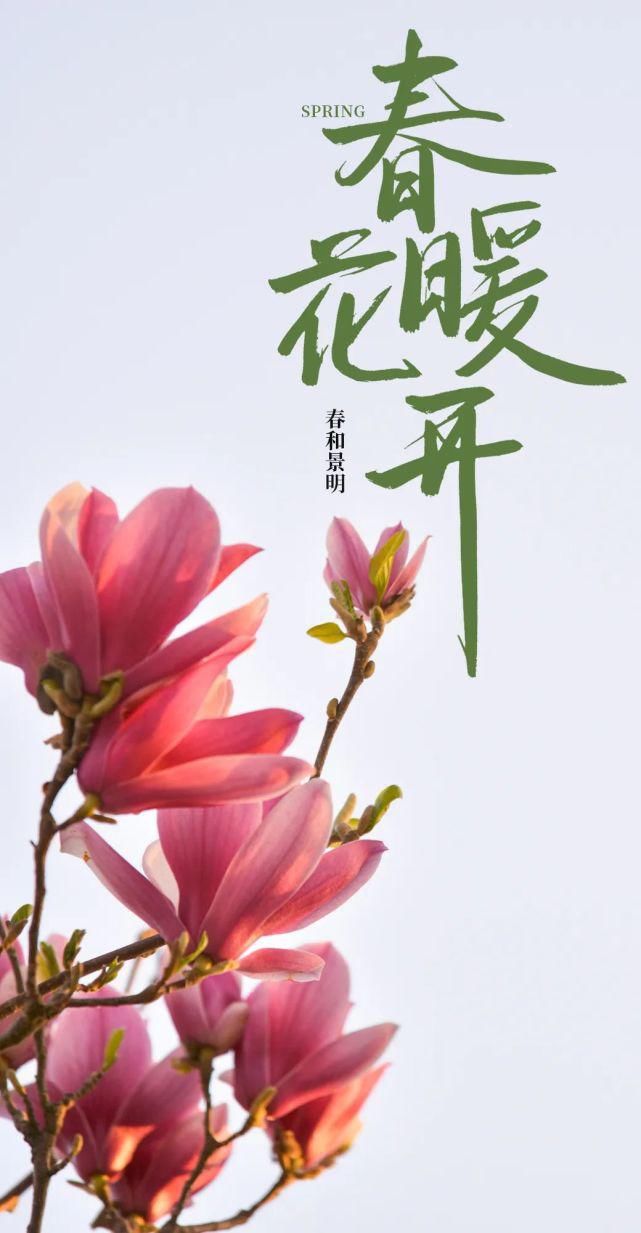 油菜花|南有“武大”，北有“濮大”！