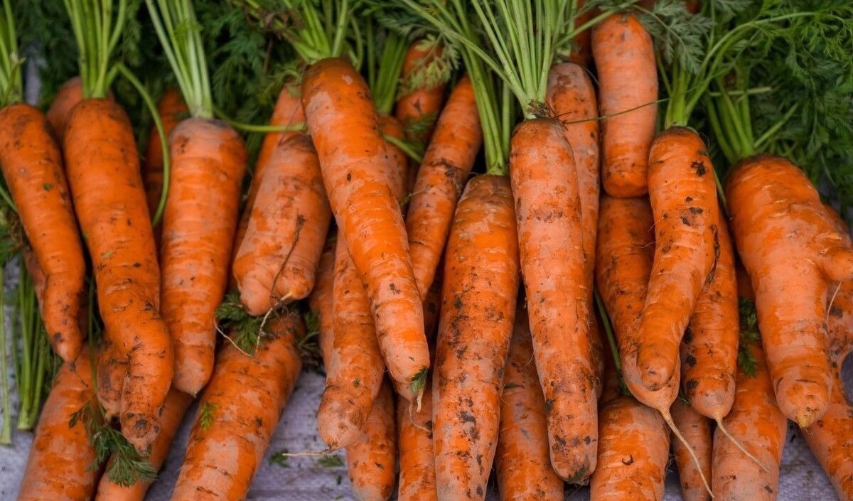 胡萝卜,带泥和干净的选哪种?菜农:很多人买这种,我家从来不吃