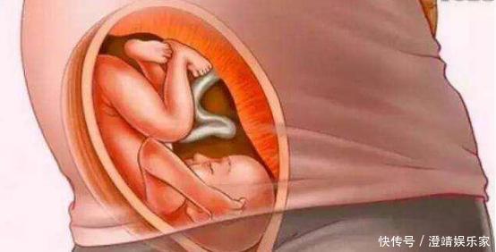 宝宝是怎么被慢慢孕育出来的，十张过程图，一切来之不易