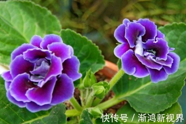 小技巧&俗话说言多必失,4句说话小技巧,让你从此福从口入、财从口出