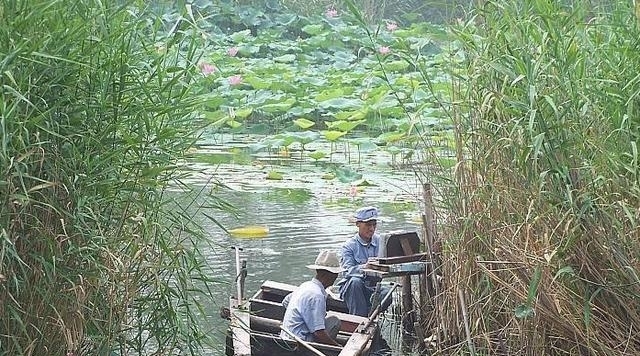 野武雄|一群娃娃兵要了大将军的命