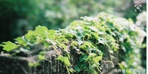 简明|简明的诗歌