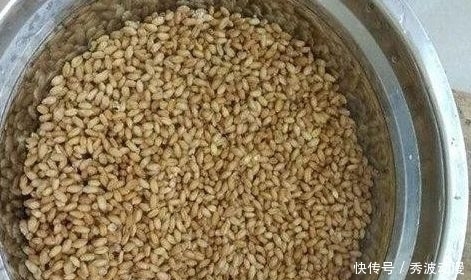 鲫鱼“最上瘾”饵料,水里一抛,方圆30米的鲫鱼死命的咬钩