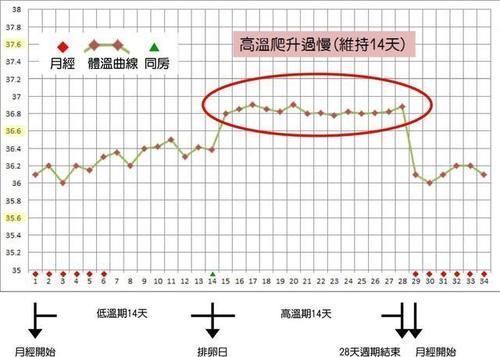 “助孕变成避孕”,29岁女性备孕3年没怀上,原因都出在手机上