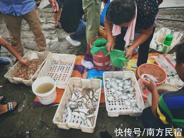 大海|温州洞头岛还有这样一座海山花园民宿，简直美翻！丨岩海山居