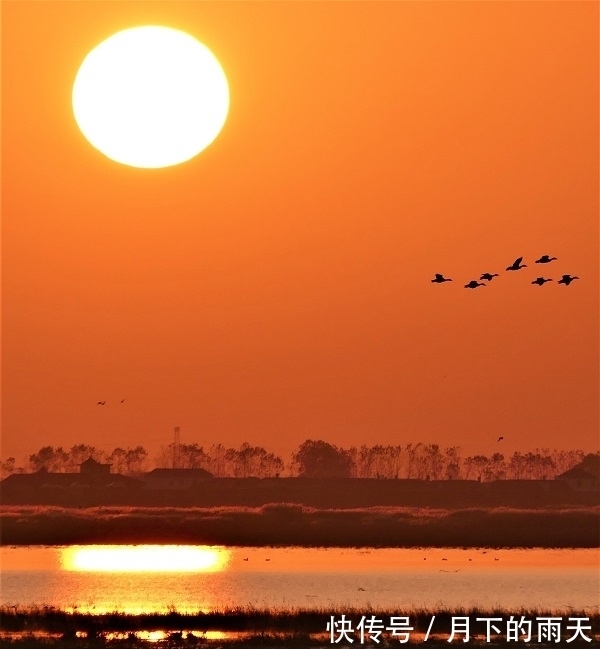 洒脱!温一盏茶读好诗,33首诗写在深秋,有真情有境界,细读不觉被感动