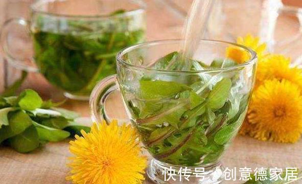 健康|农村常见的“排毒菜”，坚持每天泡水喝，护肝清火又健康