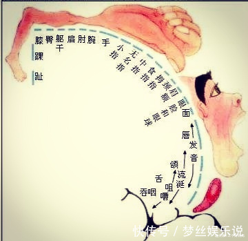 图书|人的智慧在手中,精细动作对孩子大脑发育很重要,7个游戏练起来