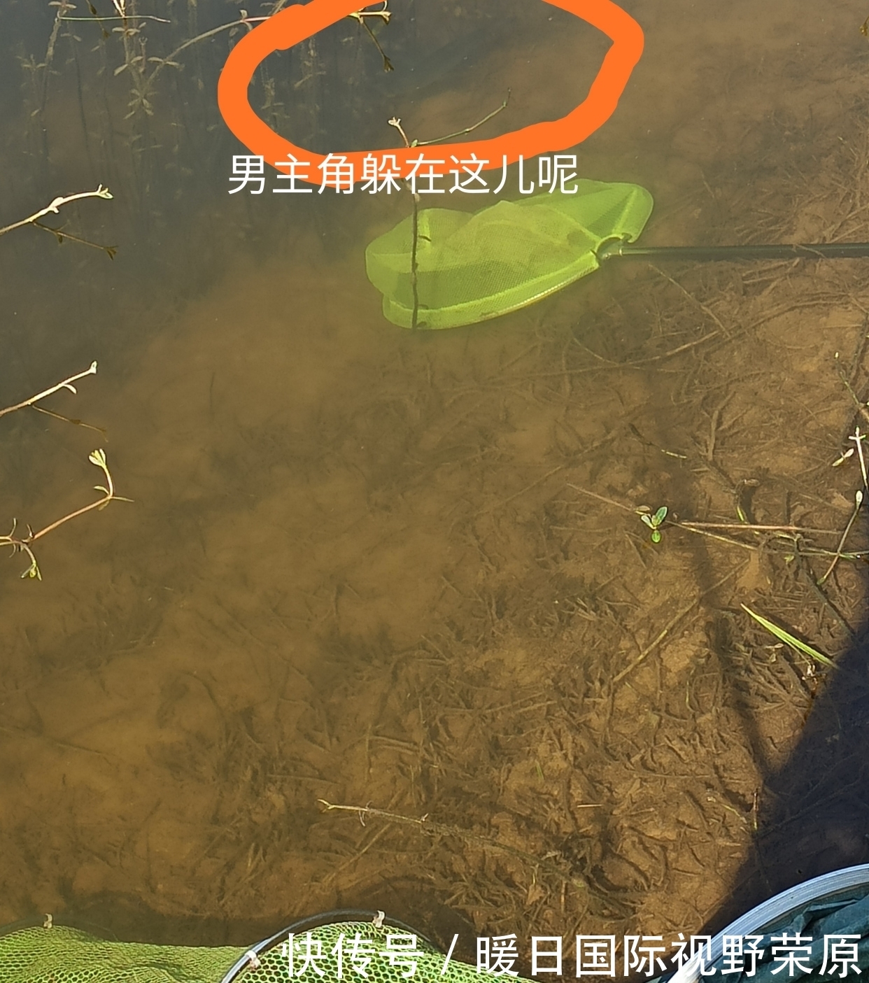 抄网|记录一场我去年野钓的奇遇,难不成鱼也有爱情?