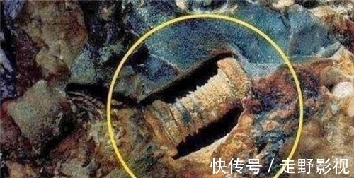 芯片|渔民捡到奇石,镶嵌2.5亿年前“芯片”,史前真的存在高等文明?