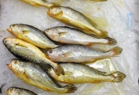 冬天吃鱼,专挑4种鱼,应季而食营养高味道好,买的都是聪明人!