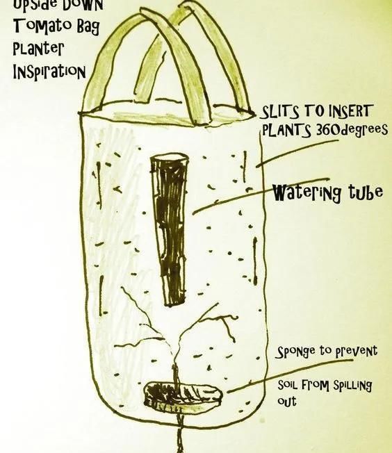 植物|没地种花种菜,没时间浇水几个塑料瓶就能解决,DIY变废为宝