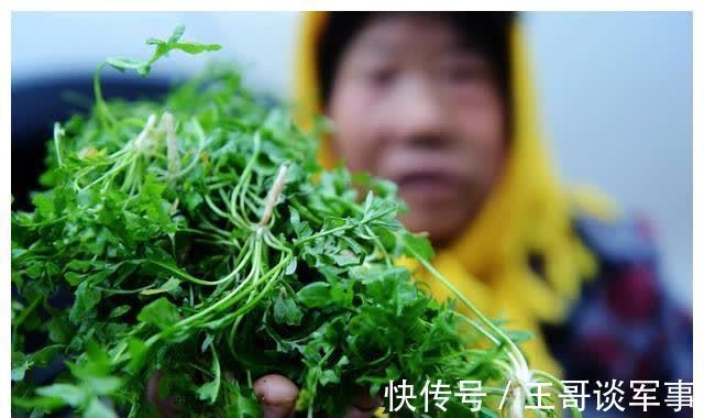 健脑|开春后,多给孩子吃这6种“高钙菜”!健脑又益智,个头还蹭蹭长