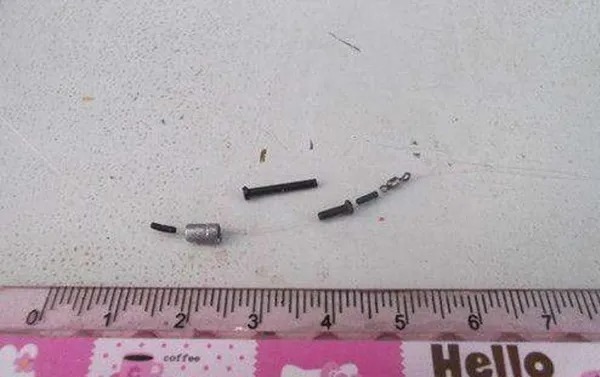 实话实说:如果你没做错3件事,再大的鱼也逃不掉